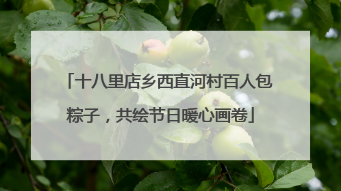 十八里店乡西直河村百人包粽子，共绘节日暖心画卷